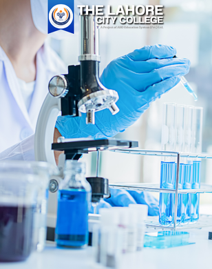 The Lahore City College